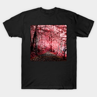 Mystery Forest T-Shirt